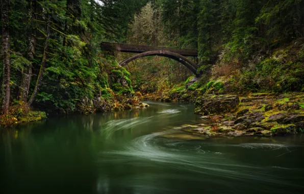 Picture forest, bridge, river, Lewis River, Washington State, Washington, River Lewis, Moulton Falls Bridge