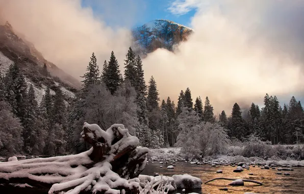 Frost, snow, mountains, nature, CA, Yosemite National Park