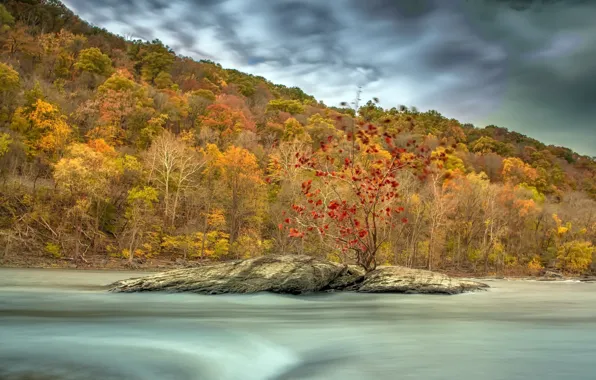 Picture autumn, river, the wind, stream