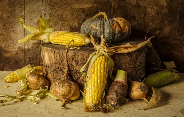 Corn, harvest, pumpkin, still life, vegetables, autumn, still life, pumpkin
