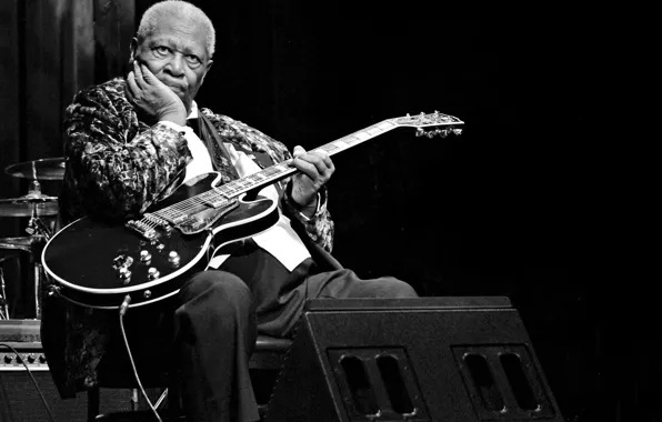Picture music, guitar, speaker, musician, Lucille, stage, Blues, B. B. King