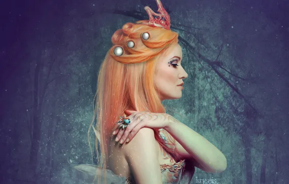 Picture girl, face, pattern, hair, hand, crown, makeup, dress