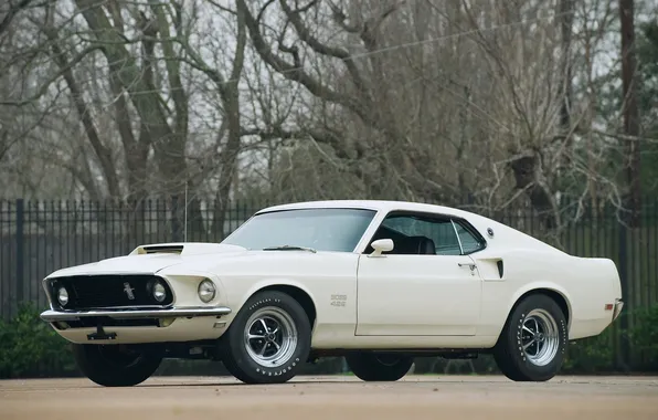 Mustang, Mustang, 1969, ford, muscle car, Ford, muscle car, boss