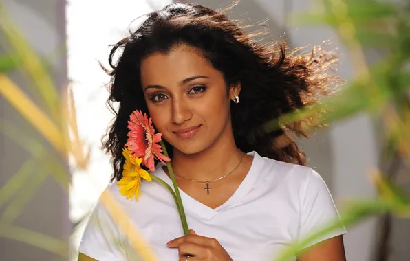 Picture flower, look, India, actress, brunette, From Trisha Krishna