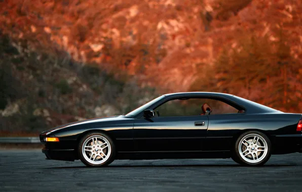 BMW, E31, 850ci, 8-Series