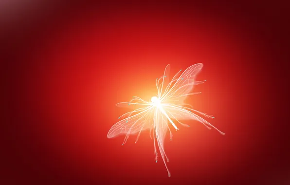 Red, white, art, gradient, buterfly