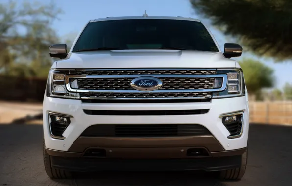 Picture Ford, before, SUV, Expedition, 2020