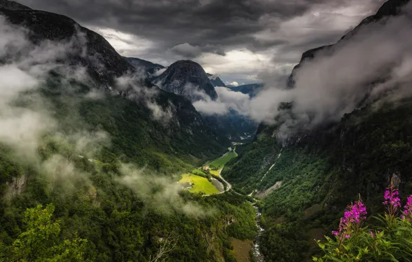 Clouds, flowers, mountains, Ivan-tea