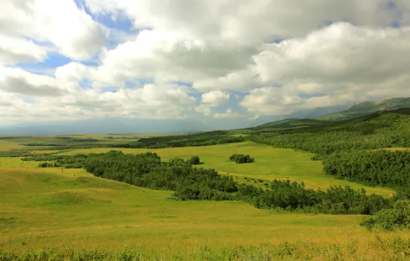Forest, clouds, mountains, field, Canada, Alberta, meadows