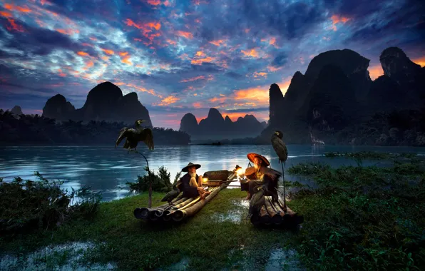 Picture birds, river, boats, the evening, lights, China, fishermen, cormorants