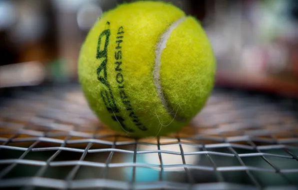 Picture macro, sport, the ball