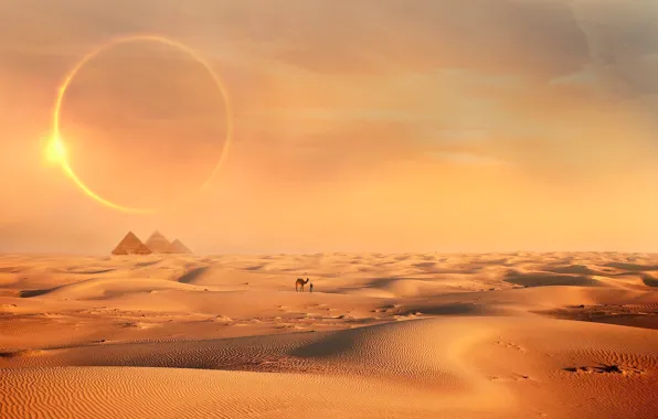 The sun, rendering, desert, people, camel, pyramid, Sands, photoart