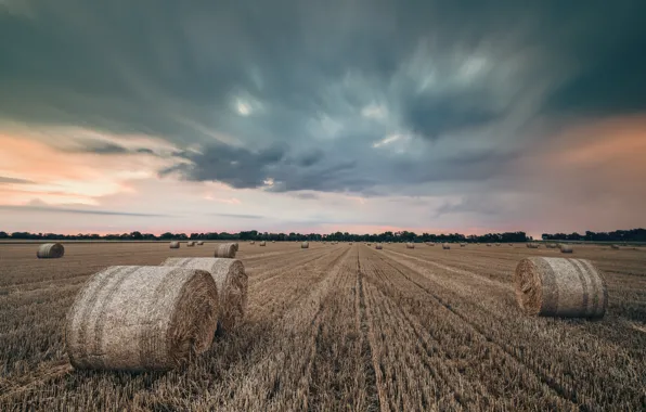 Straw Hay Bale Background Images, HD Pictures and Wallpaper For Free  Download