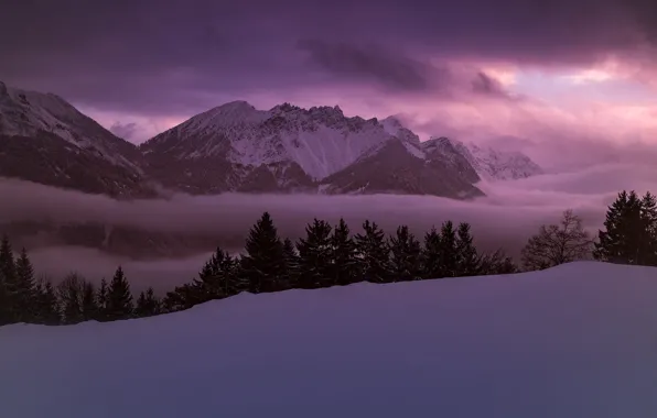 Picture winter, the sky, clouds, snow, trees, sunset, mountains, nature