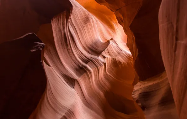 Picture line, canyon, AZ, USA, America, wall, antelope canyon, education