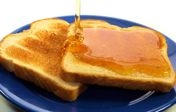Breakfast, honey, plate, bread, toast