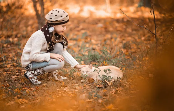 Picture autumn, cat, nature, animal, girl, Vladimir Vasiliev