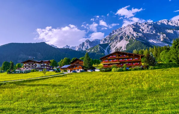 Road, greens, field, forest, the sky, grass, the sun, clouds
