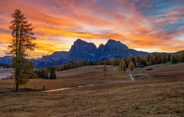 The sky, trees, sunset, mountains, rocks, field, Italy, meadows