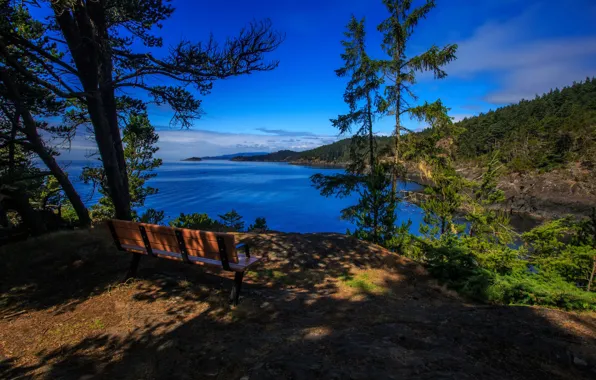 Forest, trees, bench, nature, lake, shore, Canada, hill