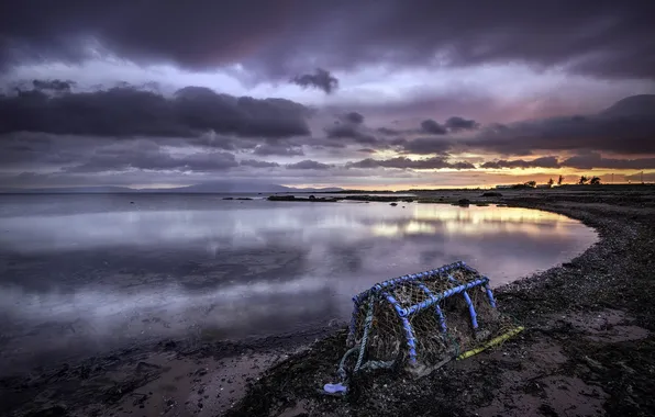 Sea, landscape, night, network