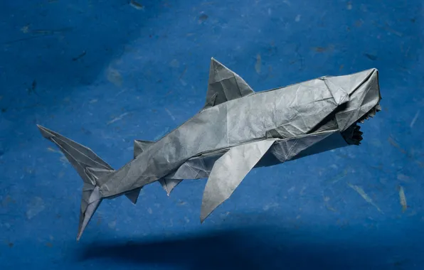 Paper, predator, shark, origami