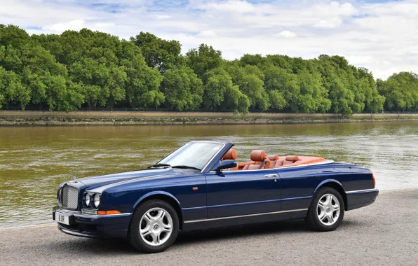 Trees, Bentley, convertible, Cabriolet, Azure