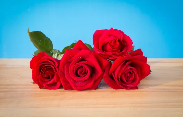 Picture flowers, roses, bouquet, red, red, buds, wood, flowers