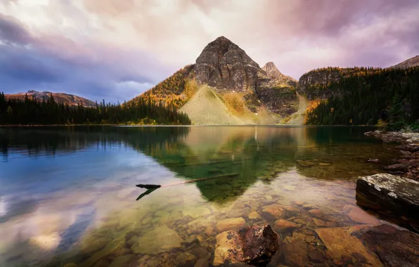 Autumn, forest, mountains, lake, reflection, stones, rocks, shore