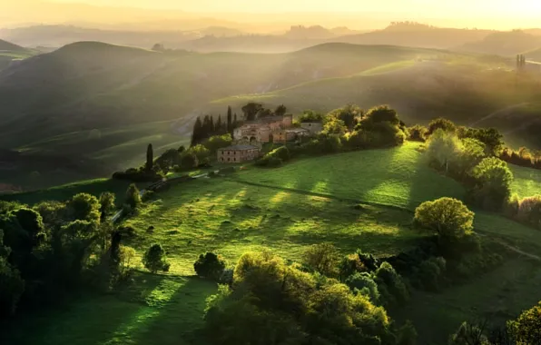 Picture trees, house, morning, Italy, Tuscany