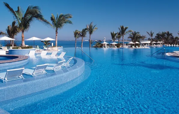 Picture palm trees, the ocean, view, pool