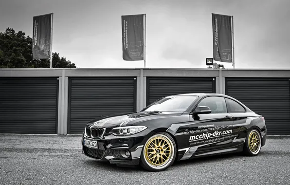 Tuning, BMW, coupe, BMW, F22, Coupe, 2-Series, Mcchip-DKR