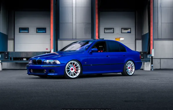 Picture bmw, blue, e39, m5