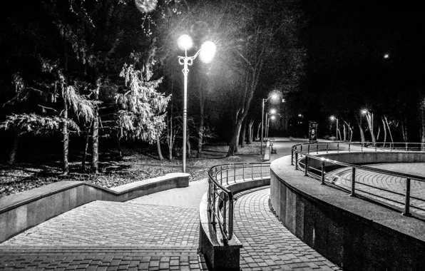 Trees, Park, Night, handrails, Night city, Black and white, Cherkassy, Cherkassy