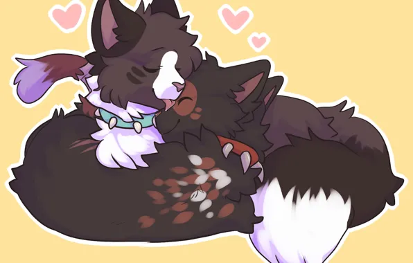 Hearts, Cats, Fluffy, Furry, Cuddle