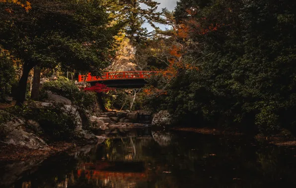 Photo, Nature, Bridge, Trees, Japan, Water channel, Bridge on Miyajima Island