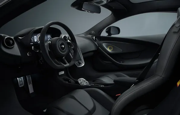 McLaren, the wheel, supercar, salon, 2018, MSO, 570GT, Black Collection