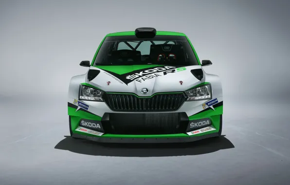 Concept, front view, Skoda, 2019, Fabia R5