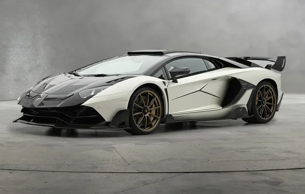 Power, supercar, sports car, supercar, Lamborghini Aventador, Mansory, sports car, the only instance