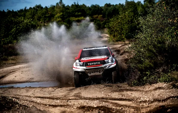 Picture squirt, Toyota, pickup, Hilux, shrub, 2019, Gazoo Racing