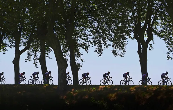 Trees, silhouette, Cycling, 2016, The tour de France, race