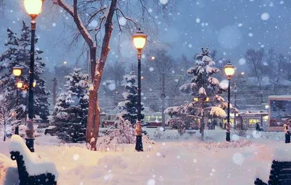 The city, City, Winter evening, Snow trees, Winter evening, Snowy trees