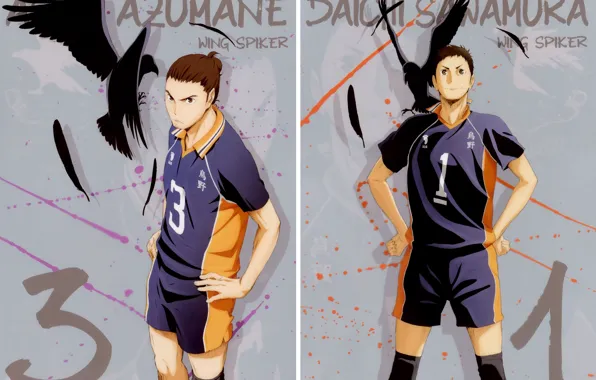 Feathers, captain, crows, guys, sports uniforms, Haikyuu!!, Volleyball!, Azumane Asahi
