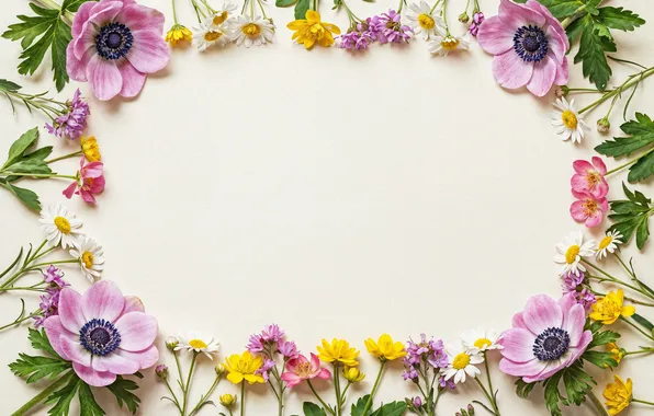 Flowers, frame, colorful, pink, flowers, frame, floral