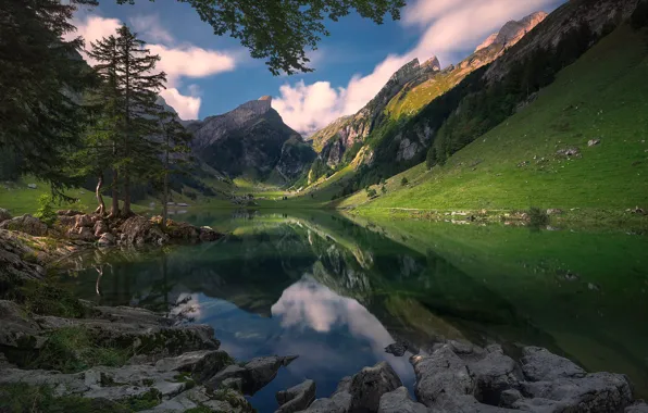 Forest, the sky, light, mountains, branches, lake, reflection, blue
