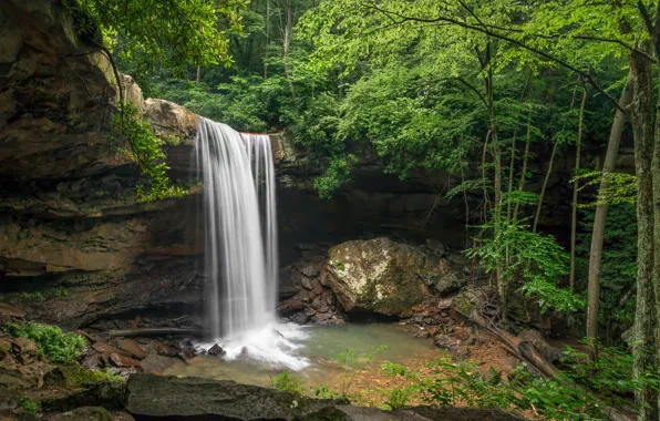Picture greens, forest, summer, leaves, branches, stones, rocks, waterfall