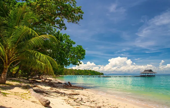 Sand, sea, greens, beach, the sky, the sun, clouds, trees