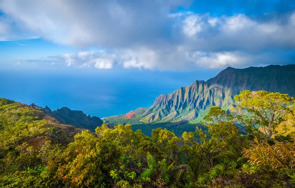 Clouds, Hawaii, Mountains, Kalalau, Lookout