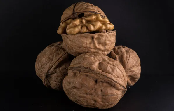 Macro, background, - , nuts, shell