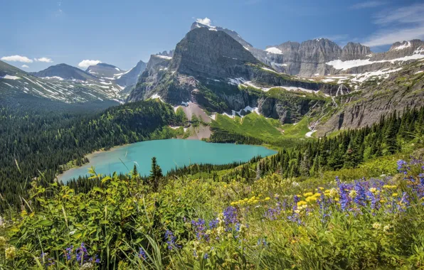 Picture mountains, nature, meadow